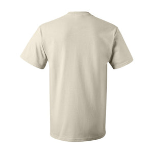 Fruit of the Loom HD Cotton 100% Cotton T-Shirt. 3930