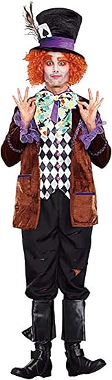 Hatter Madness Men's Costume