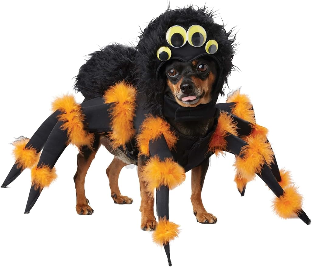 Spider Pup Dog Costume