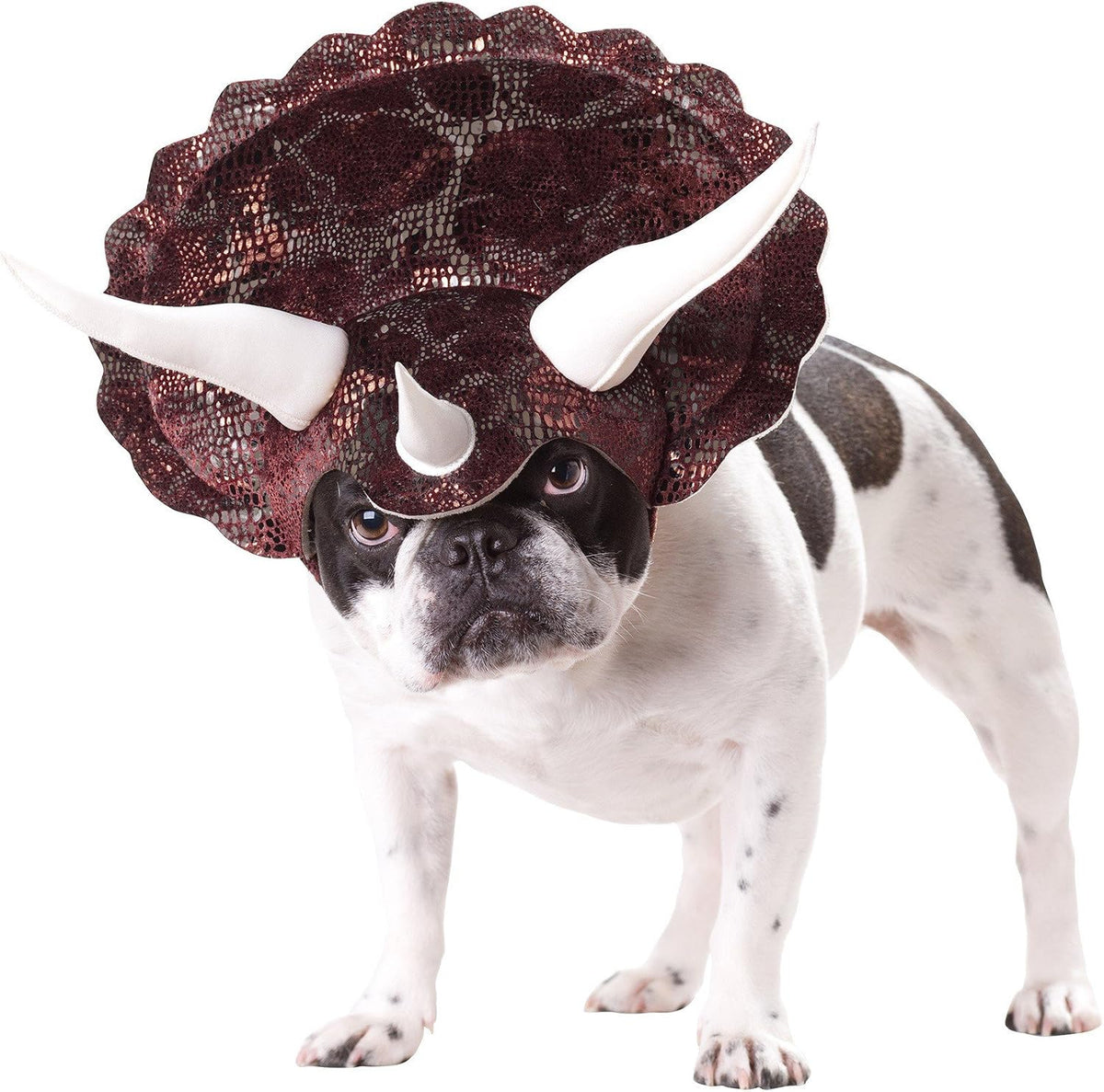 Triceratops Animal Planet Halloween Pet Costume
