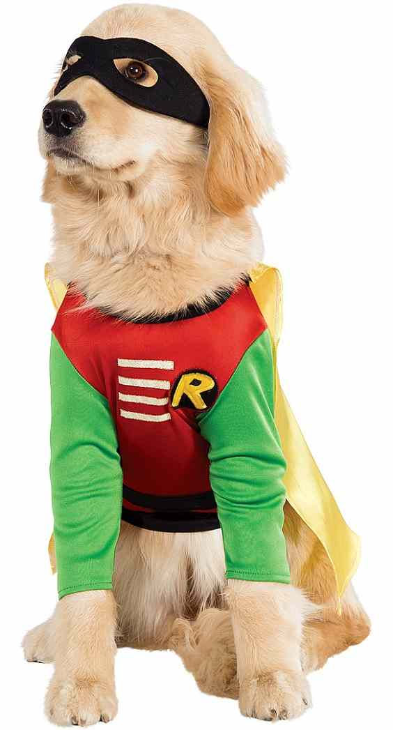 Robin Batman DC Comics Teen Titans Superhero Halloween Pet Dog Cat Costume