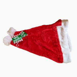 Santa Claus Plush Hats 2 pack Unisex Christmas