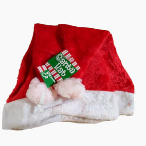 Santa Claus Plush Hats 2 pack Unisex Christmas