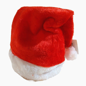 Santa Claus Plush Hats 2 pack Unisex Christmas