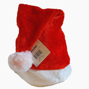 Santa Claus Plush Hats 2 pack Unisex Christmas