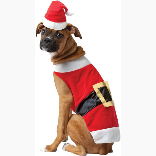 Santa Dog Costume