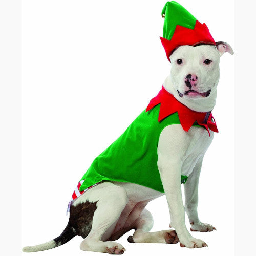 Pet Costume Elf