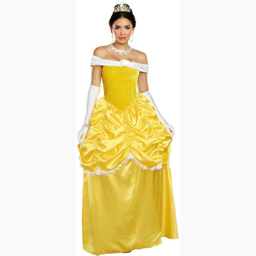 Dreamgirl Fairytale Beauty Fantasy Adult Women's Halloween Costume