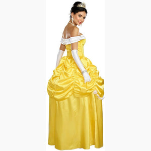 Dreamgirl Fairytale Beauty Fantasy Adult Women's Halloween Costume