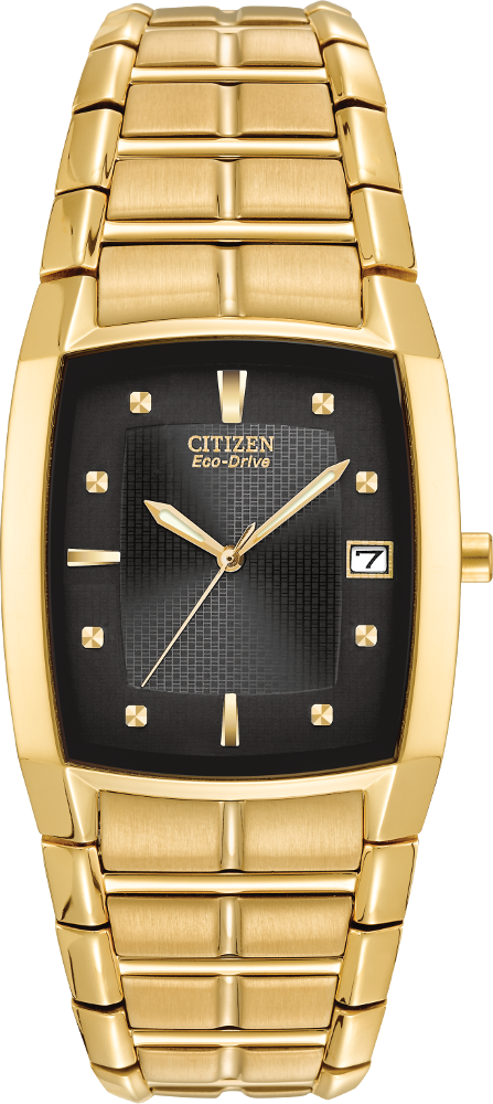 Citizen Paradigm Eco-Drive Mens Watch BM6552-52E