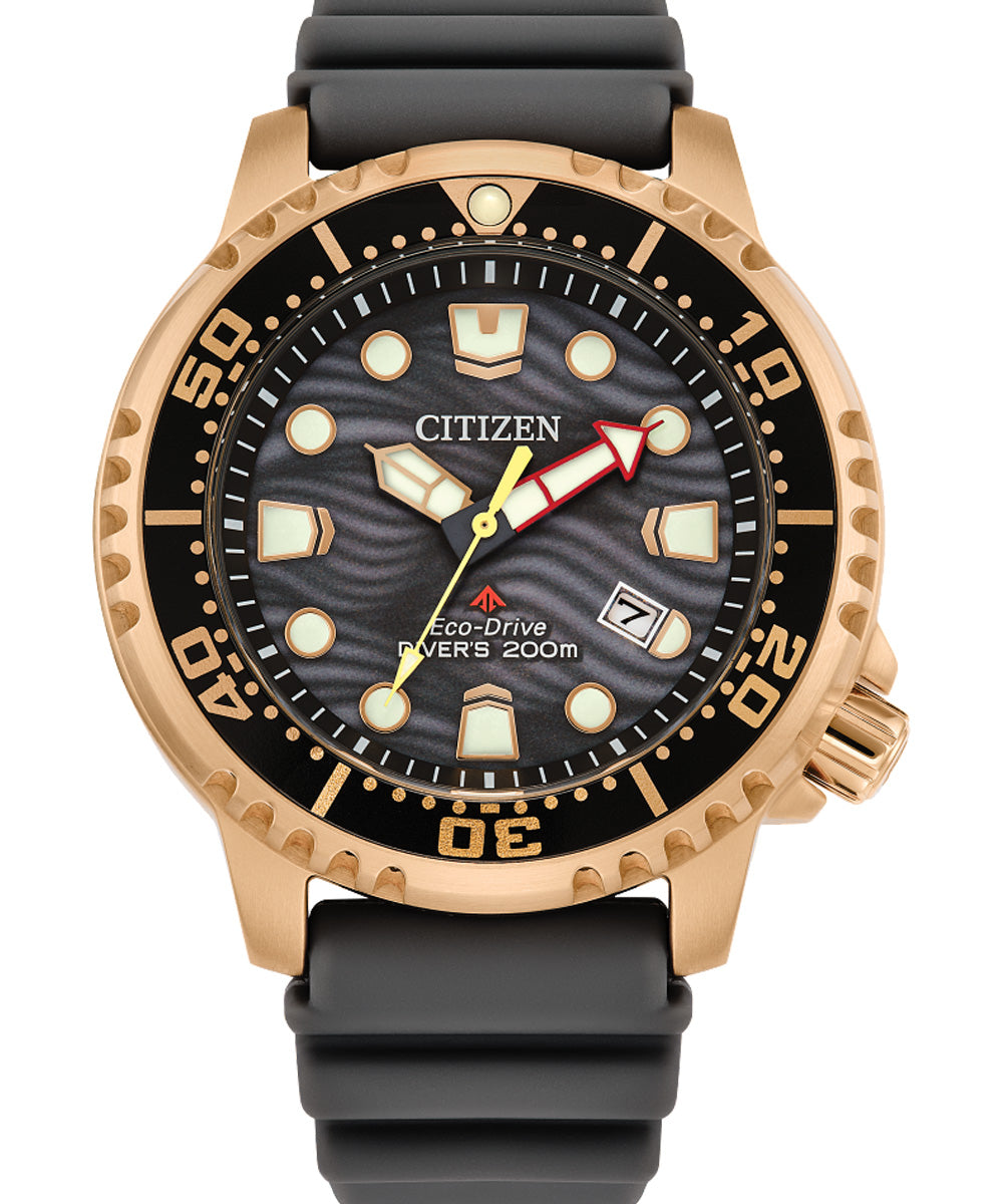 Citizen Promaster Dive Eco-Drive Men's Watch BN0163-00H